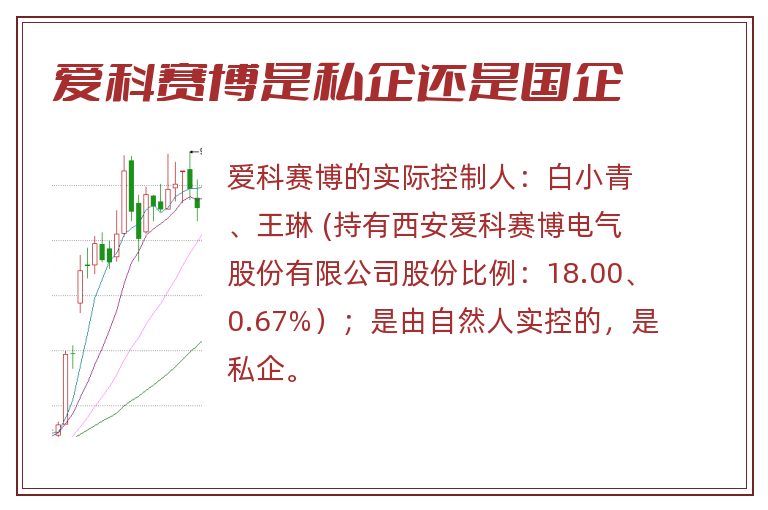 爱科赛博是私企还是国企