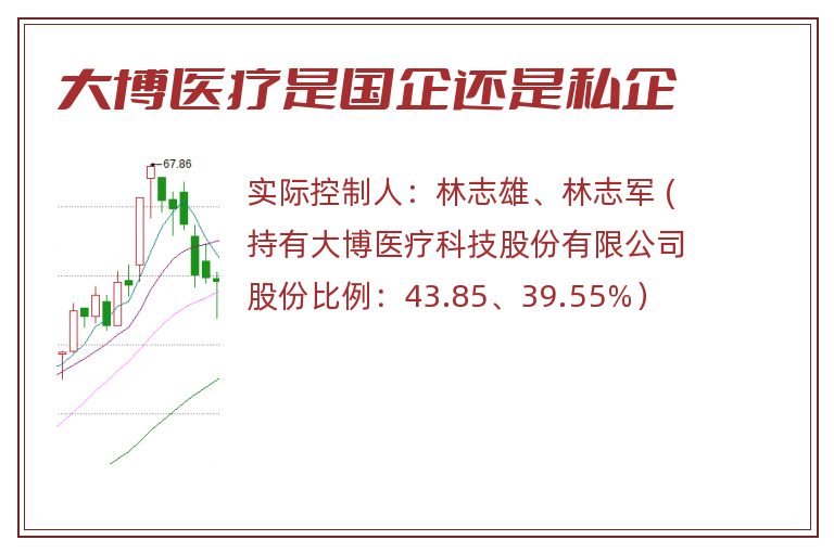 大博医疗是国企还是私企