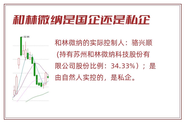 和林微纳是国企还是私企