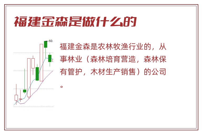 福建金森是做什么的