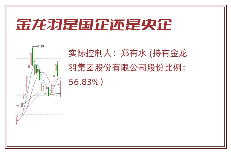 金龙羽是国企还是央企