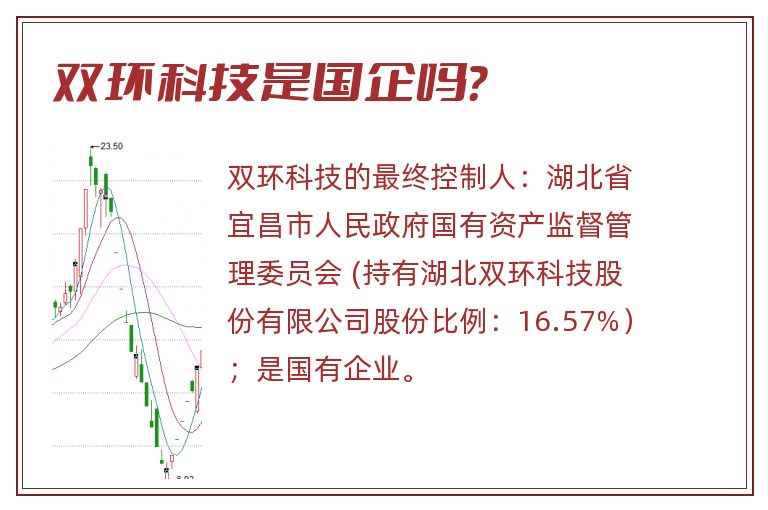 双环科技是国企吗？