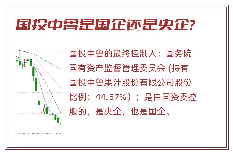 国投中鲁是国企还是央企？