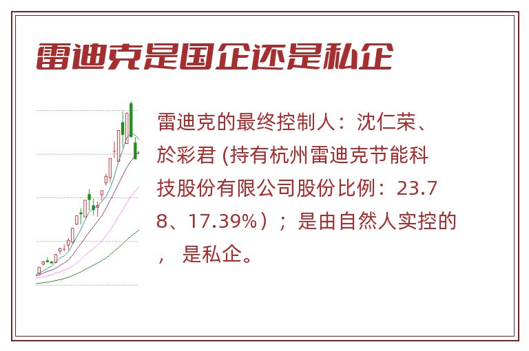 雷迪克是国企还是私企