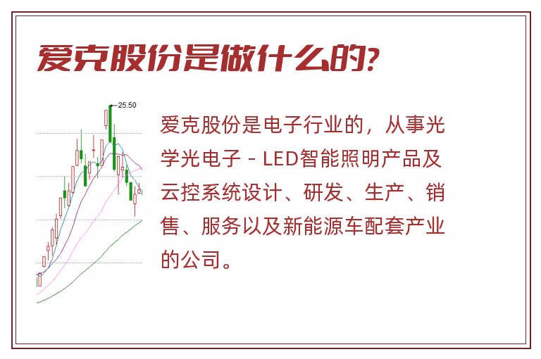 爱克股份是做什么的?