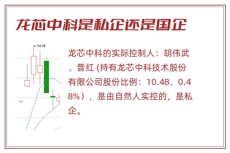 龙芯中科是私企还是国企