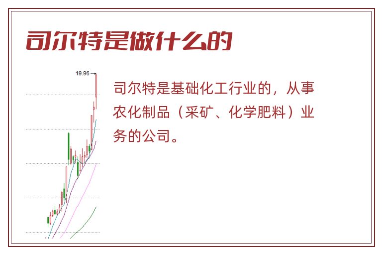 司尔特是做什么的