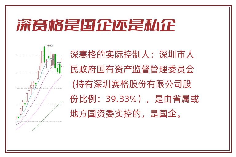 深赛格是国企还是私企