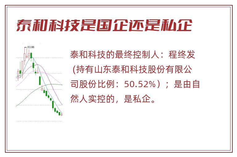 泰和科技是国企还是私企