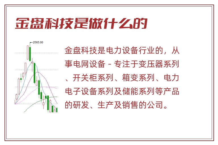 金盘科技是做什么的