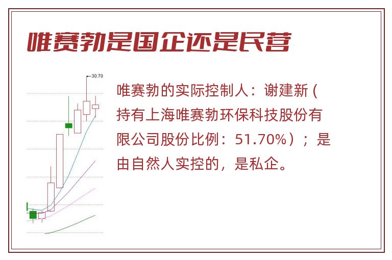 唯赛勃是国企还是民营