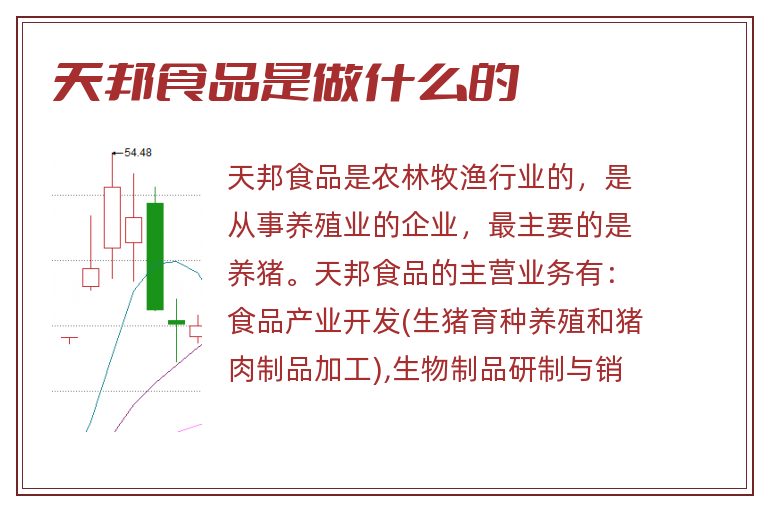 天邦食品是做什么的