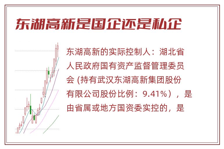 东湖高新是国企还是私企