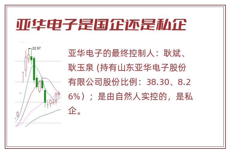 亚华电子是国企还是私企