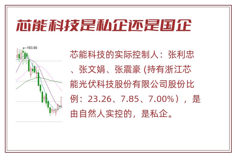 芯能科技是私企还是国企