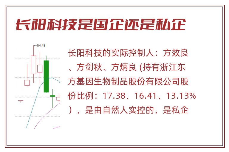 长阳科技是国企还是私企