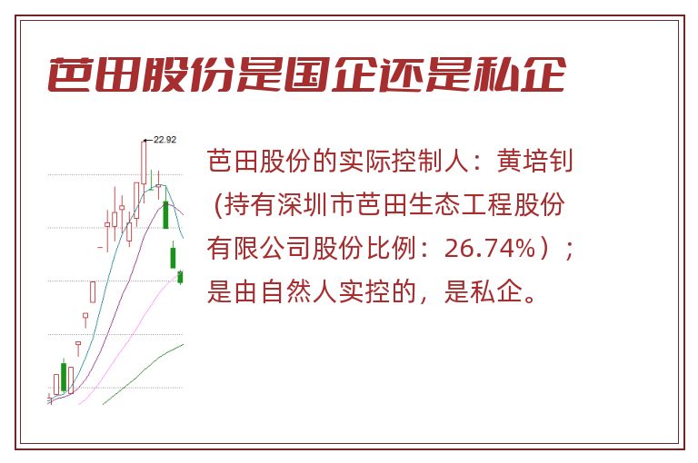 芭田股份是国企还是私企