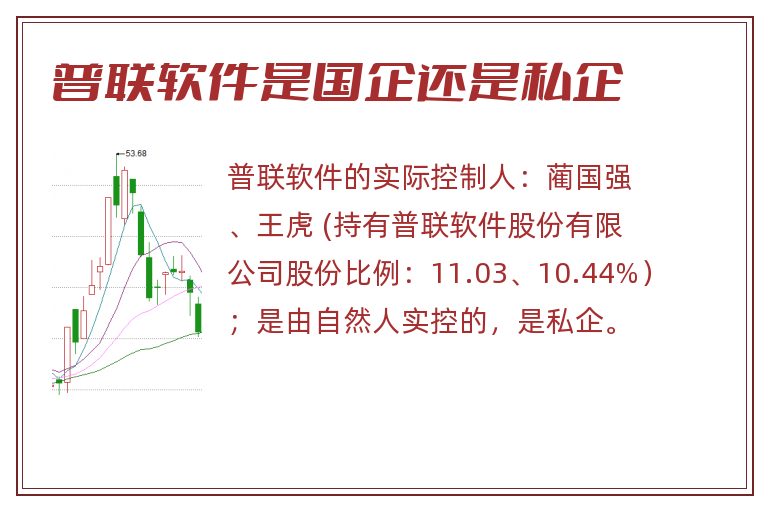 普联软件是国企还是私企