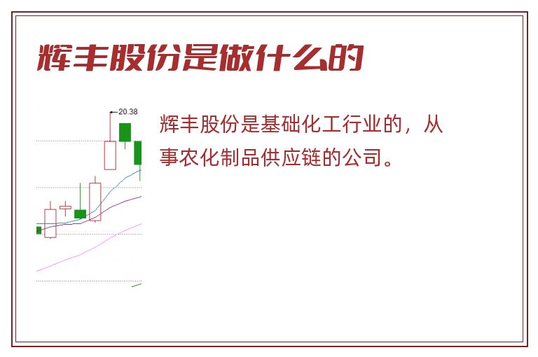 辉丰股份是做什么的