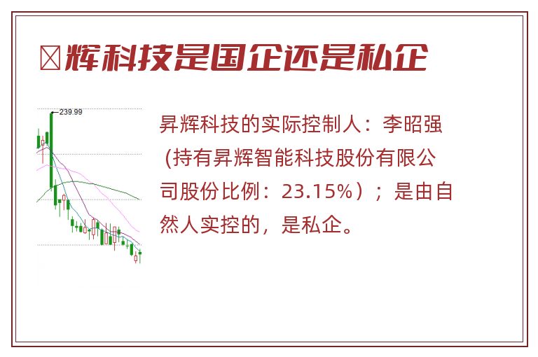 昇辉科技是国企还是私企