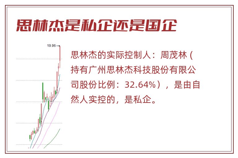 思林杰是私企还是国企