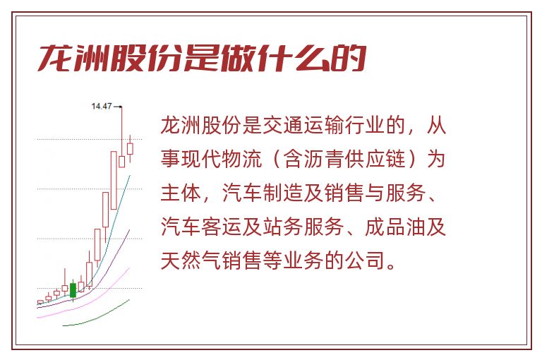 龙洲股份是做什么的