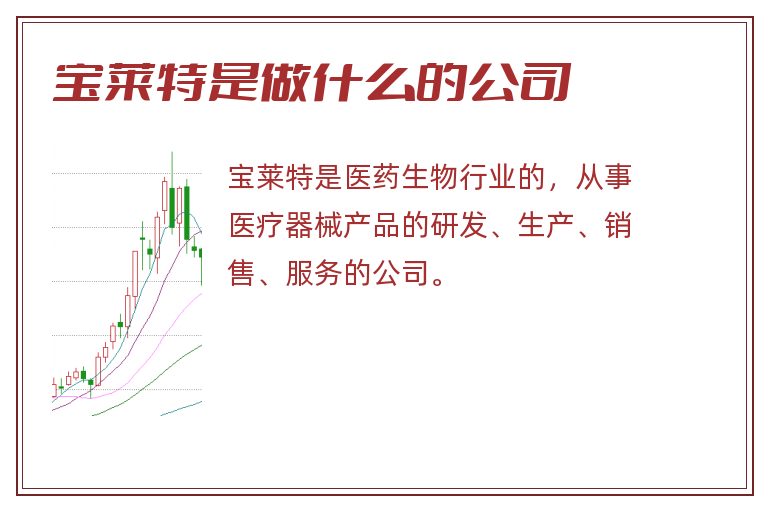 宝莱特是做什么的公司
