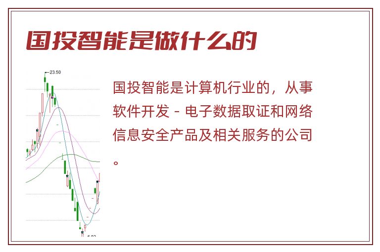 国投智能是做什么的