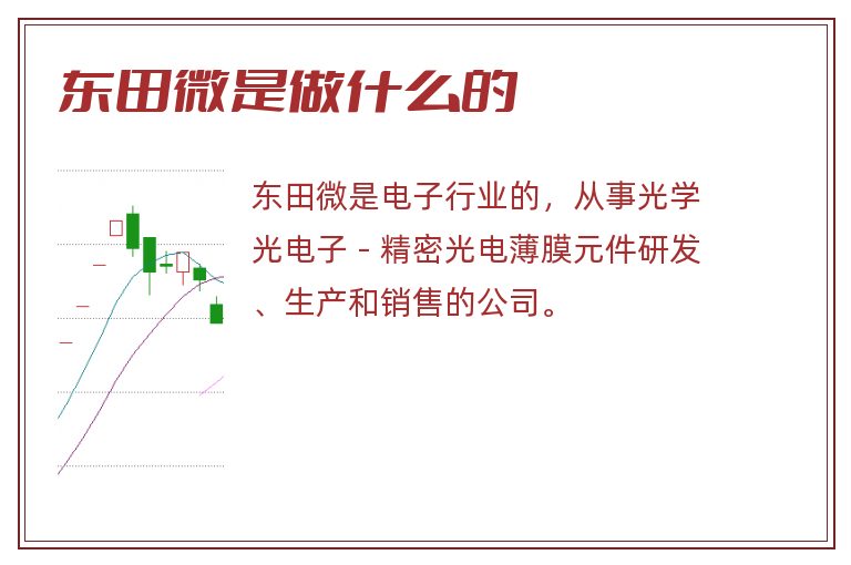 东田微是做什么的