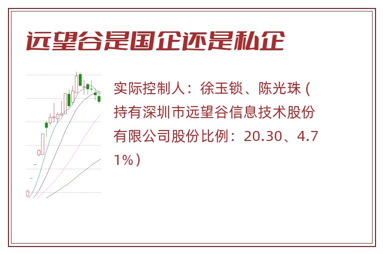 远望谷是国企还是私企