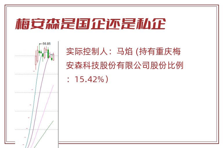 梅安森是国企还是私企