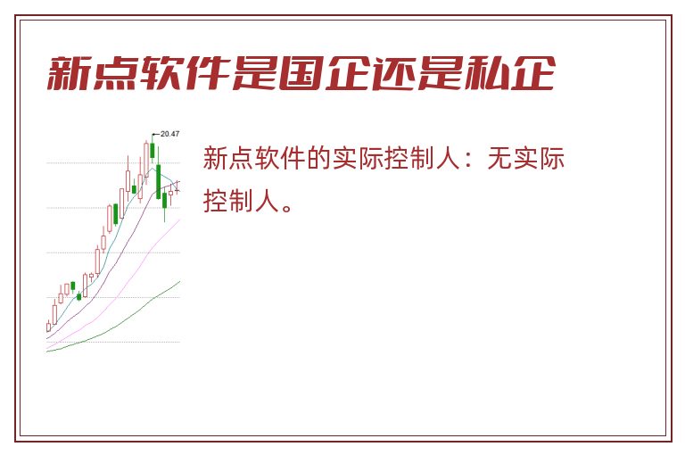 新点软件是国企还是私企