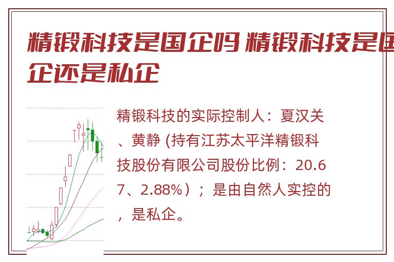 精锻科技是国企吗 精锻科技是国企还是私企