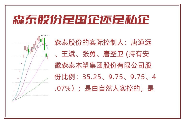 森泰股份是国企还是私企