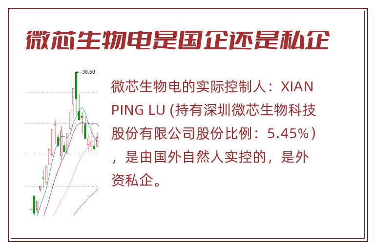 微芯生物是国企还是私企