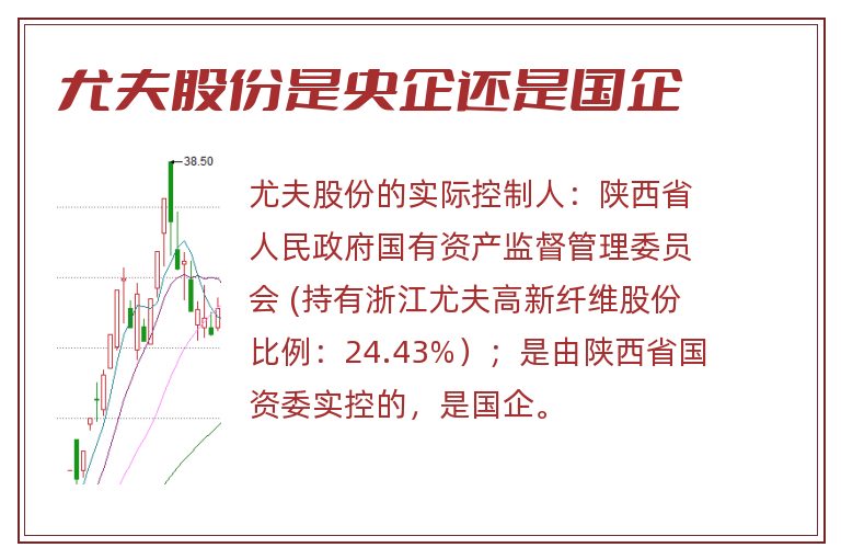 尤夫股份是央企还是国企