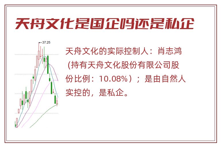 天舟文化是国企吗还是私企