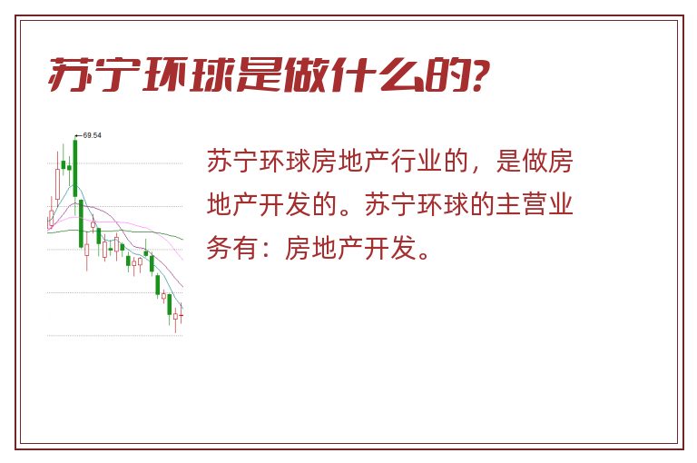 苏宁环球是做什么的？