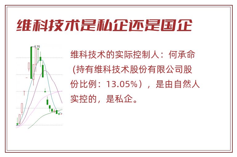 维科技术,维科技术是国企还是私企,维科技术是国企吗	.jpg