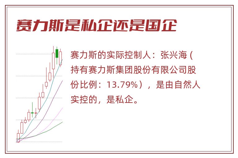 赛力斯是私企还是国企