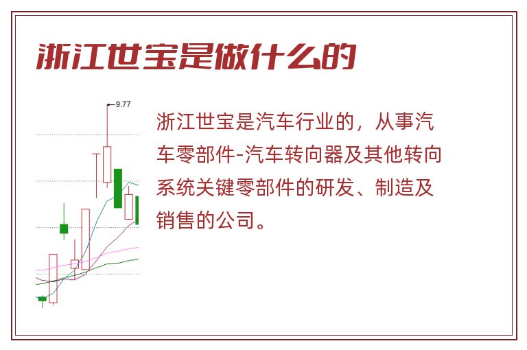 浙江世宝是做什么的