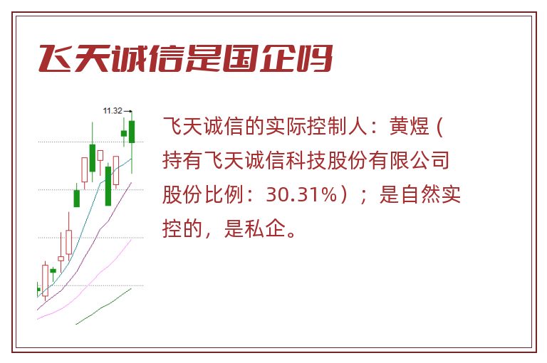 飞天诚信是国企吗