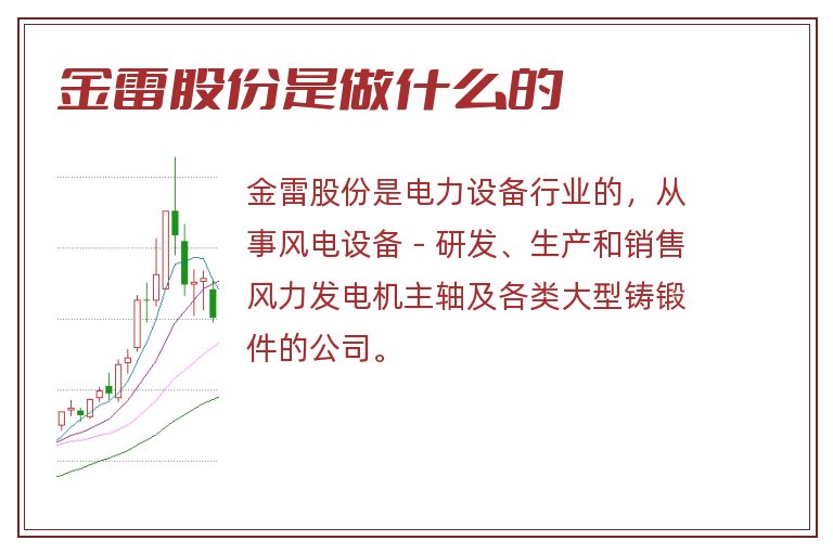 金雷股份是做什么的