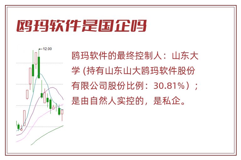 鸥玛软件是国企吗