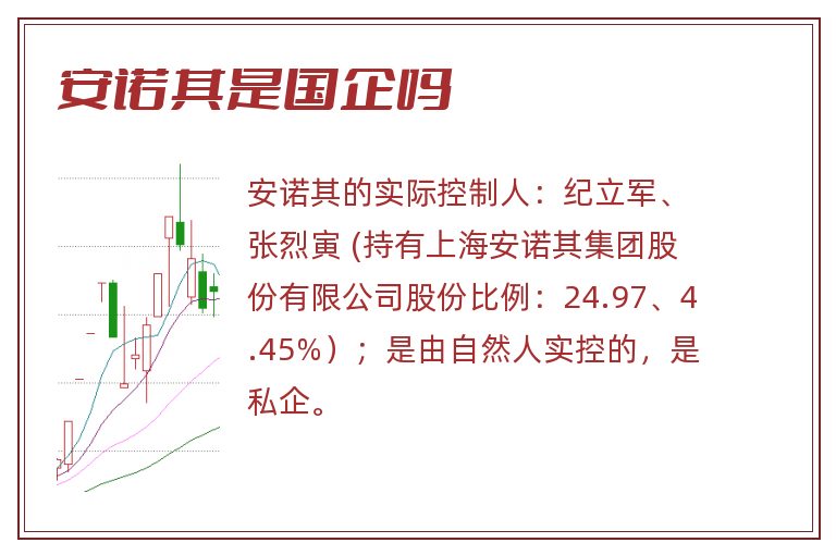 安诺其是国企吗