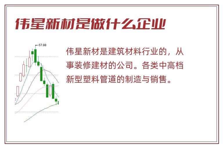 伟星新材是做什么企业