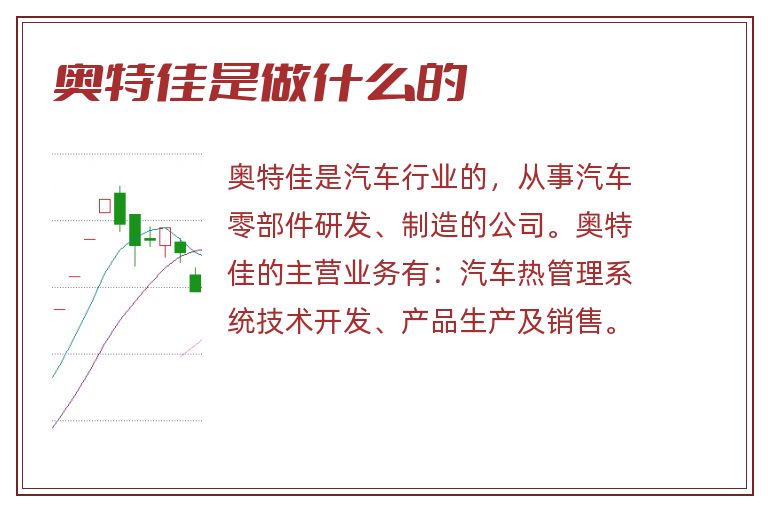 奥特佳是做什么的