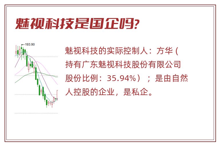 魅视科技是国企吗?