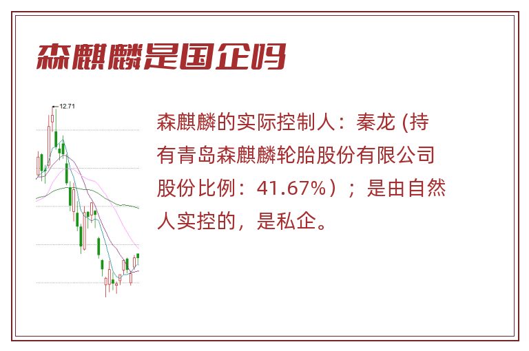 森麒麟是国企吗