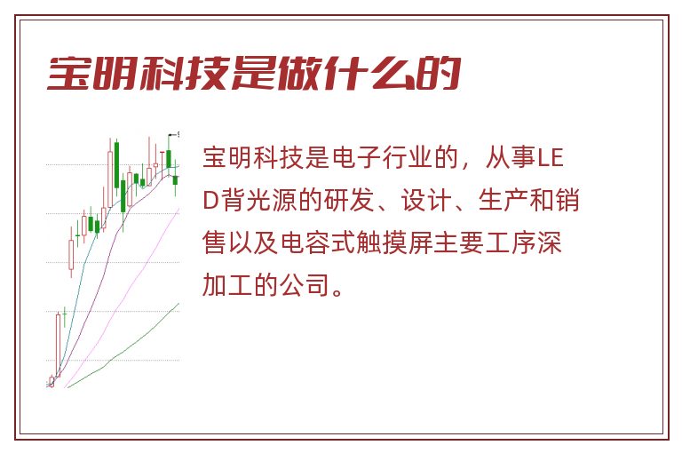 宝明科技是做什么的